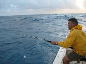 Angler battling his 1st Sail